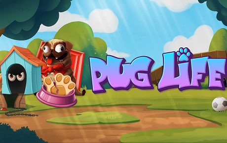 Pug Life Machine a sous Pug Life