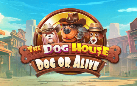 The Dog House Dog or Alive Machine a sous The Dog House Dog or Alive
